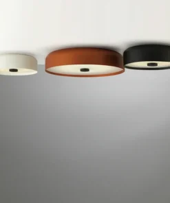 Bowl Ceiling Lamp Surface Mounted Led Downlight for Living Room