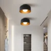 Minimalist Small LED Ceiling Light Hallway Aisle Corridor Balcony Decor Lamp Ceiling Chandelier Lustre for Living Room Bedroom