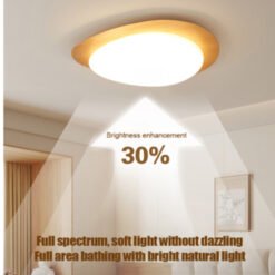Pebble ceiling lamp led wood Ceiling Light Modern Retro Art Acrylic minimalist lampfor Living Room bedroom decoration lighting