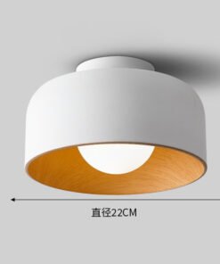Minimalist Small LED Ceiling Light Hallway Aisle Corridor Balcony Decor Lamp Ceiling Chandelier Lustre for Living Room Bedroom - Image 6