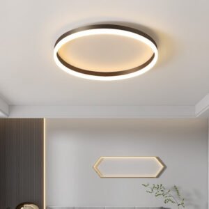 Modern Bedroom led Ceiling Lights Round Remote Control Dimmable led Living Room Ceiling Light White/Black Indoor Ceiling Lights